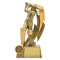 A 21cm tall gold-colored resin trophy featuring a female cricket player in action, with a space for a personalized insert and plate