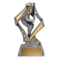 Flag Batsman Cricket