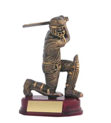 Cricket Batsman Wood