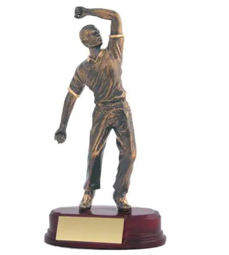 Cricket Bowler Wood