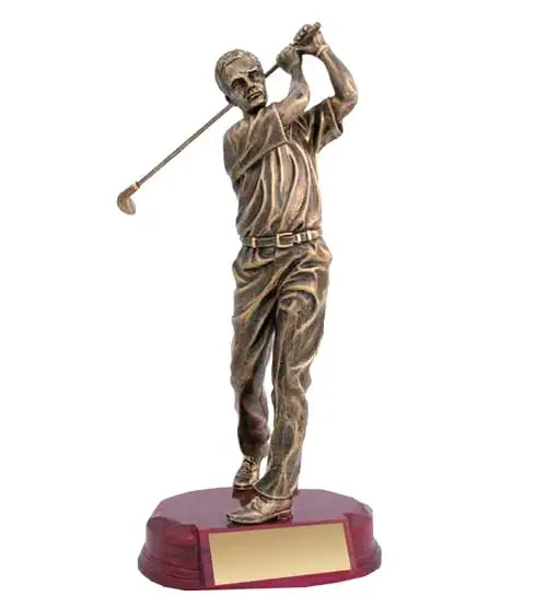 Golf Male Swing
