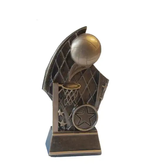Netball Dundee Award