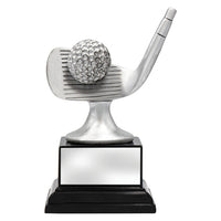 Golf Silver Iron