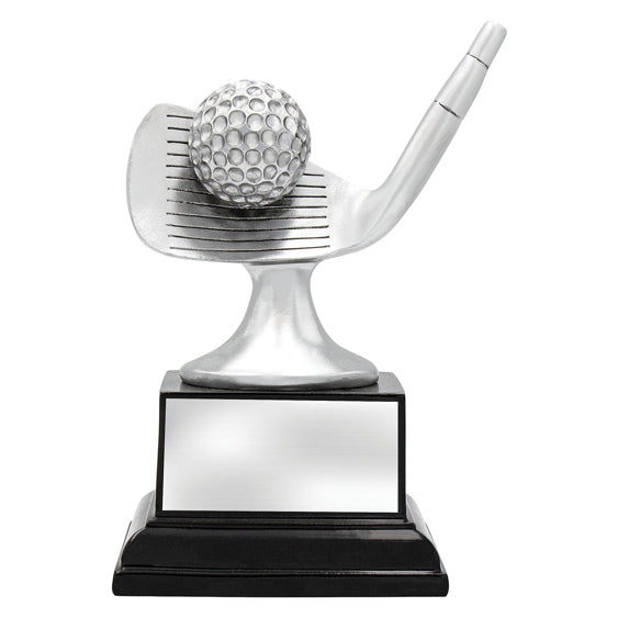 Golf Silver Iron