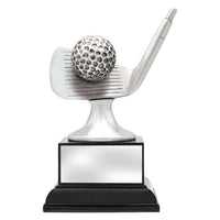 Golf Silver Iron