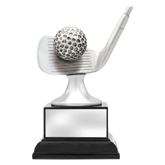 Golf Silver Iron